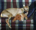 Click for a Larger View!