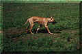 Click for a Larger View!