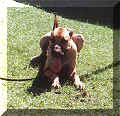 click for larger view
