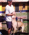 click for larger view