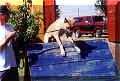 click for larger view