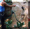 click for larger view