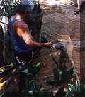 click for larger view
