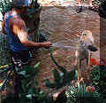 click for larger view