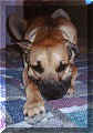 click for larger view