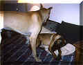 click for larger view