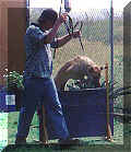 click for larger view