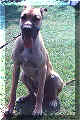 click for larger view