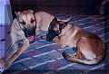 click for larger view