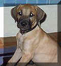 click for larger view