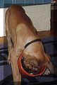 click for larger view