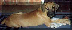 click for larger view