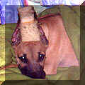 click for larger view