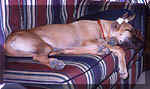 click for larger view