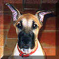 click for larger view