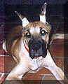 click for larger view