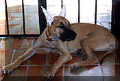 click for larger view