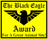 eagle.gif (2596 bytes)