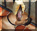 click for larger view