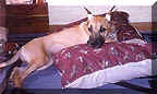 click for larger view