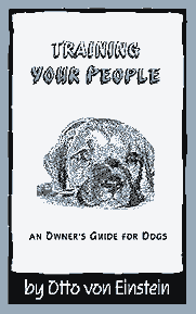 otto_book_cover.gif (5463 bytes)