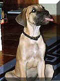 click for larger view