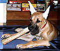 click for larger view