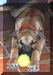 click for larger view