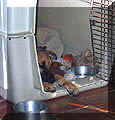 click for larger view