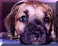 click for larger view