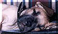 click for larger view