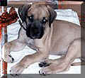 click for larger view