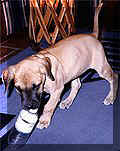 click for larger view