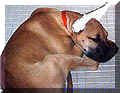 click for larger view