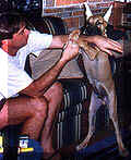 click for larger view