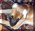 click for larger view