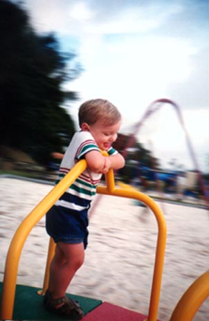 Colt's day at the park