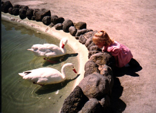Shacey at the zoo...