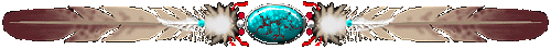 divider with feathers and turquoise