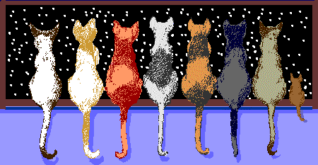 cats looking out window at snow