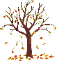 fall
tree