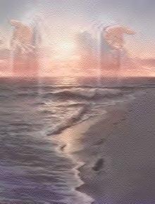 footprints