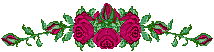 animated red rose divider