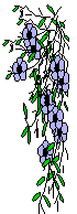 purple
flower cascade