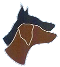 DDK