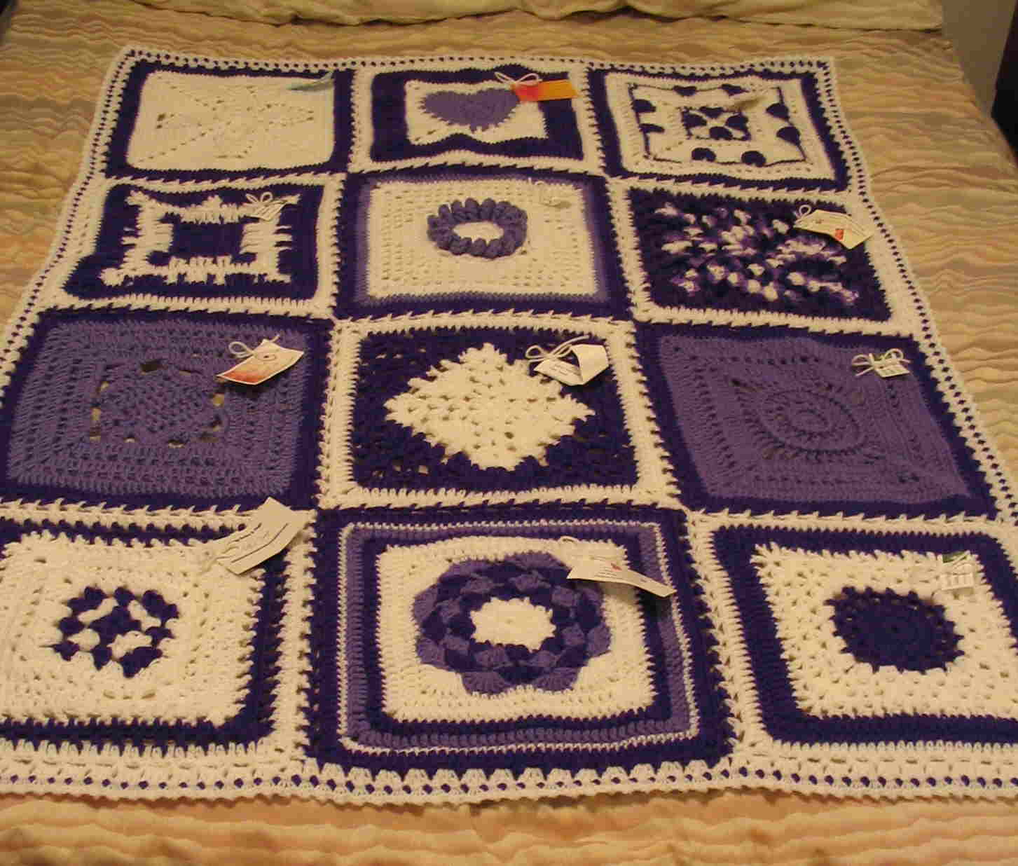 Tracey C afghan