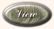 View my guestbook