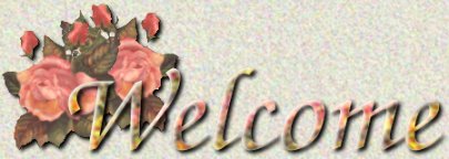 Welcome!