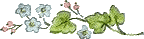 rdjflo1l.gif (2020 bytes)