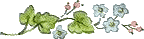 rdjflo1r.gif (2018 bytes)